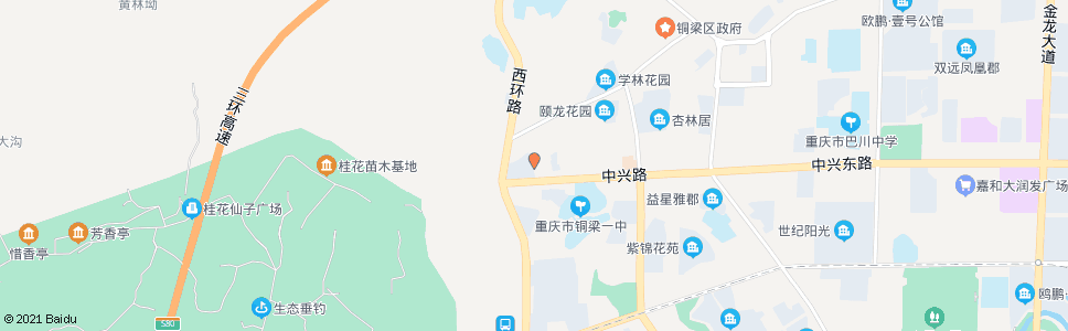 重庆九洲市场_公交站地图_重庆公交_妙搜公交查询2024