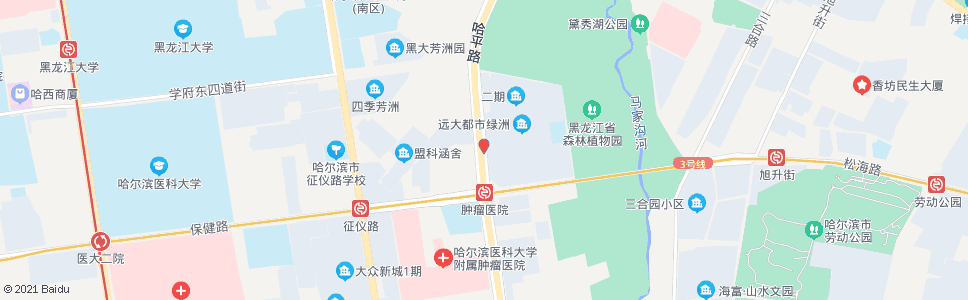 哈尔滨远大都市绿洲(林科院)_公交站地图_哈尔滨公交_妙搜公交查询2024