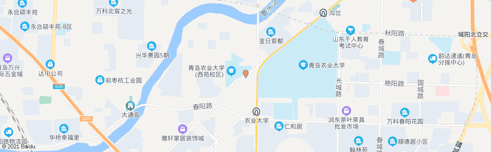 青岛农大宿舍_公交站地图_青岛公交_妙搜公交查询2024